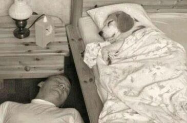 wahre Freundschaft...