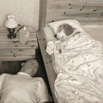 wahre Freundschaft...